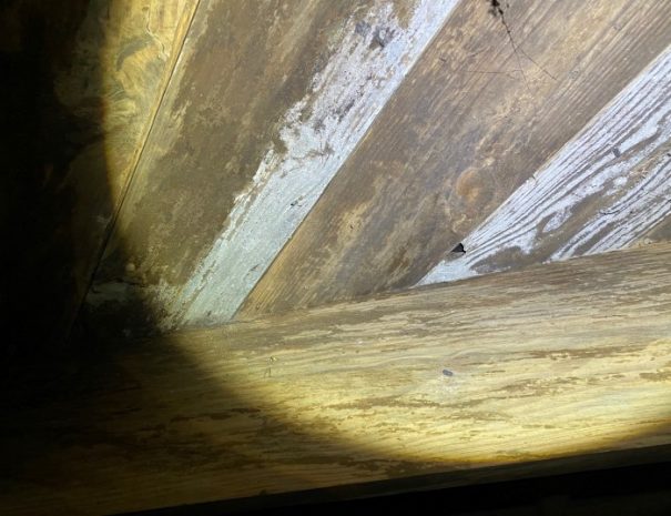 pier and beam wood rot