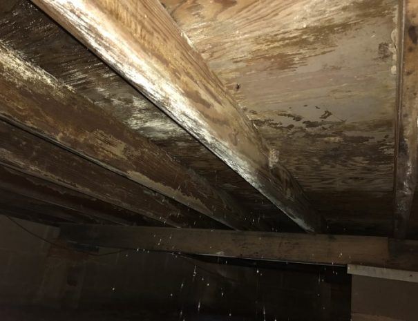 pier and beam wood rot